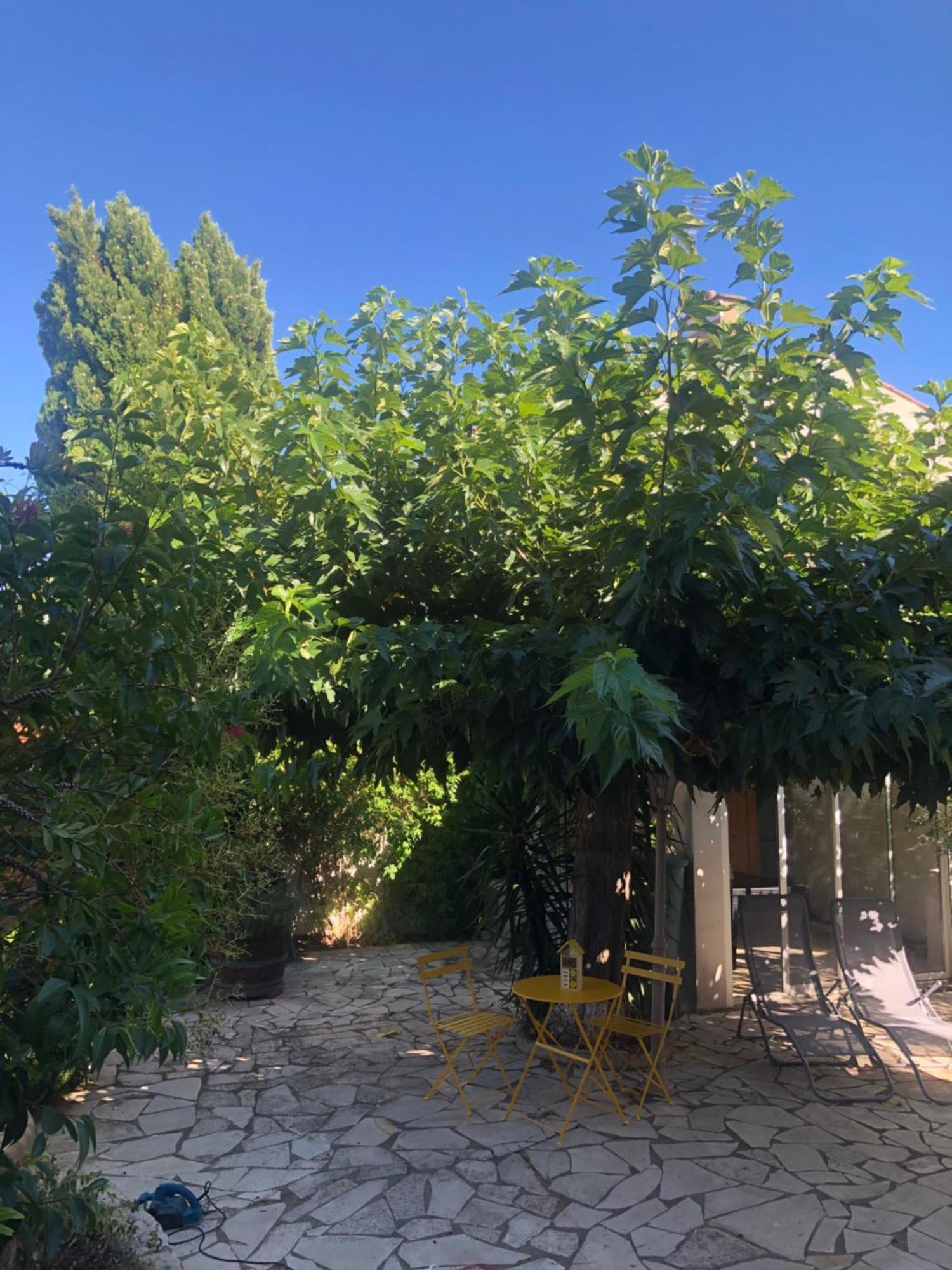 Villa Reine Du Sud Proche Des Grands Buffets Narbonne Luaran gambar